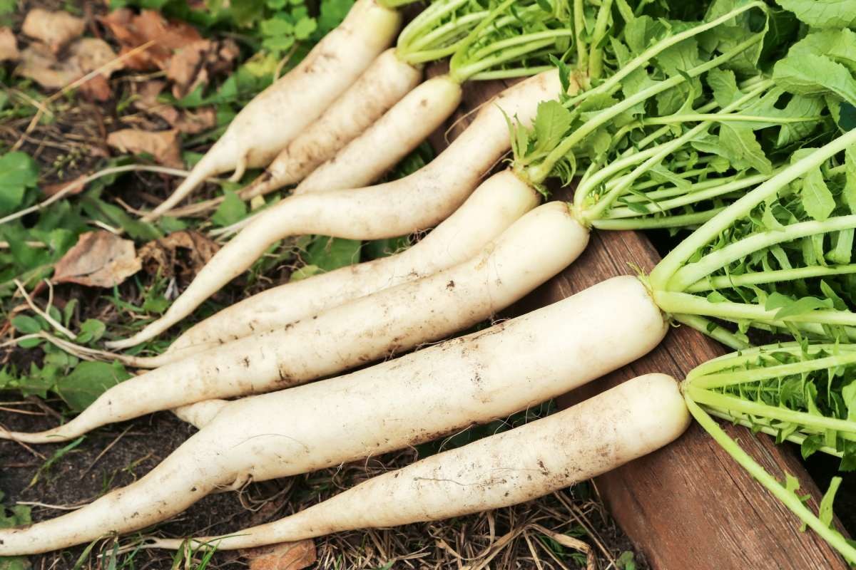 내용 이해를 돕기 위한 사진. / Viktor Sergeevich-shutterstock.com