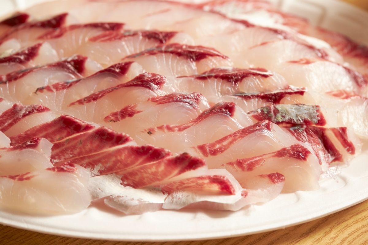 숭어 자료사진 / mnimage-shutterstock.com