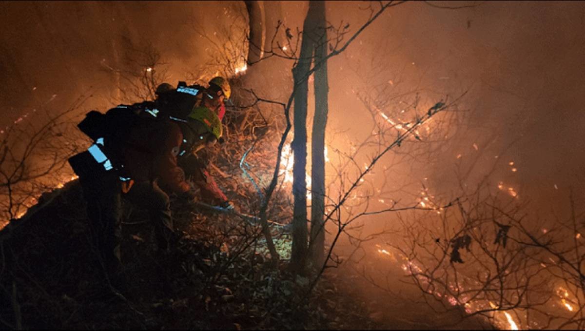 23일 새벽 강원 양양 서면 일대에서 발생한 산불 현장에서 진화대원이 야간 진화 작전을 펼치고 있다. 이번 산불은 22일 오후 6시 16분쯤 서면 서림리의 한 야산에서 시작됐다. 일몰로 헬기 투입해 불가한 가운데 당국은 장비와 인력 등 지상 자원을 총동원해 대응 중이다 / 동부지방산림청 제공, 뉴스1
