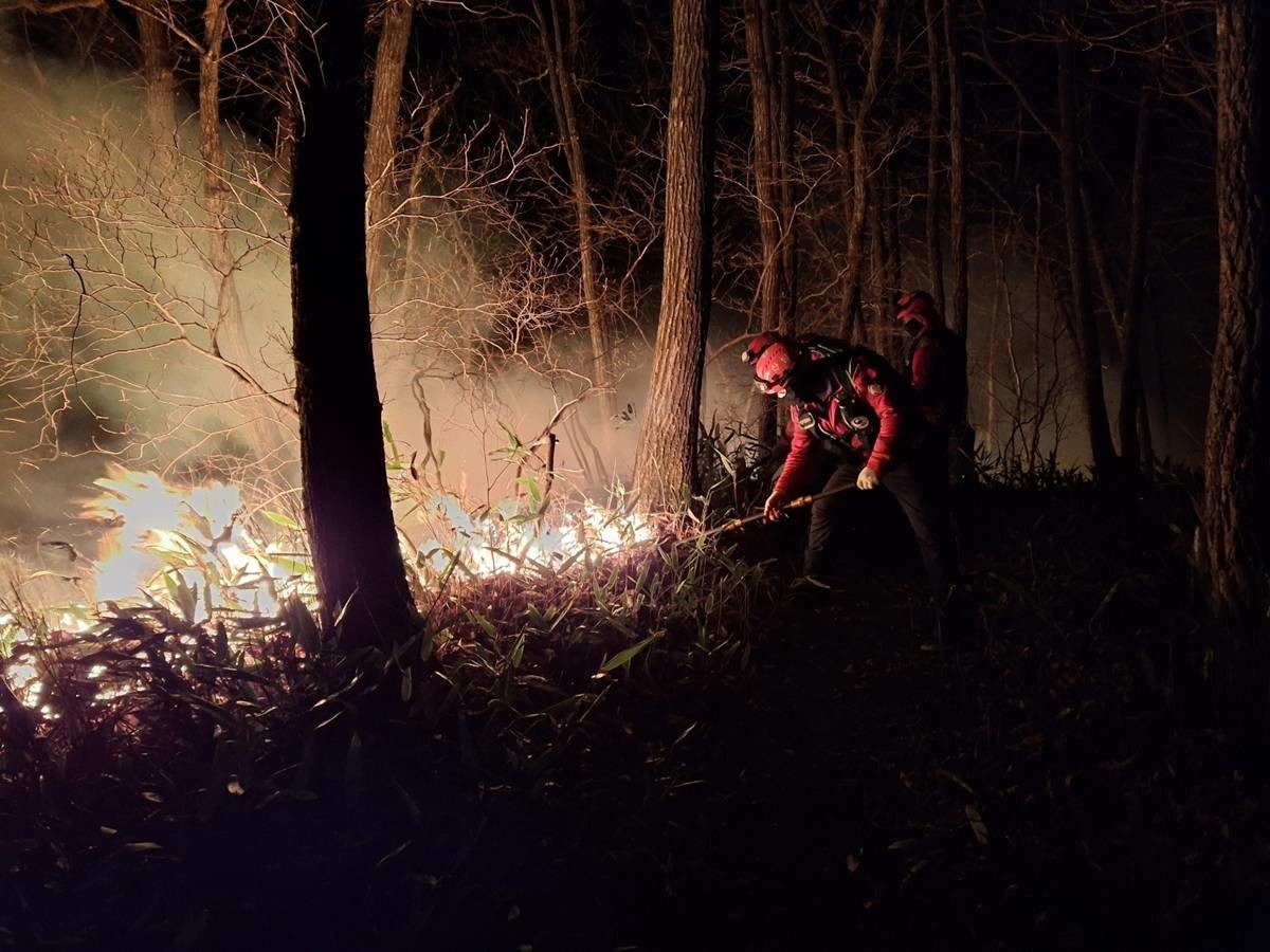 양양 산불 진화하는 소방대원들 / 동부지방산림청 제공, 뉴스1