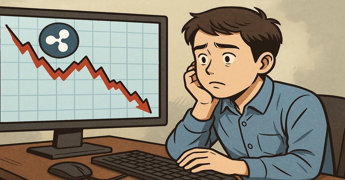 기사 내용을 바탕으로 한 참고 이미지