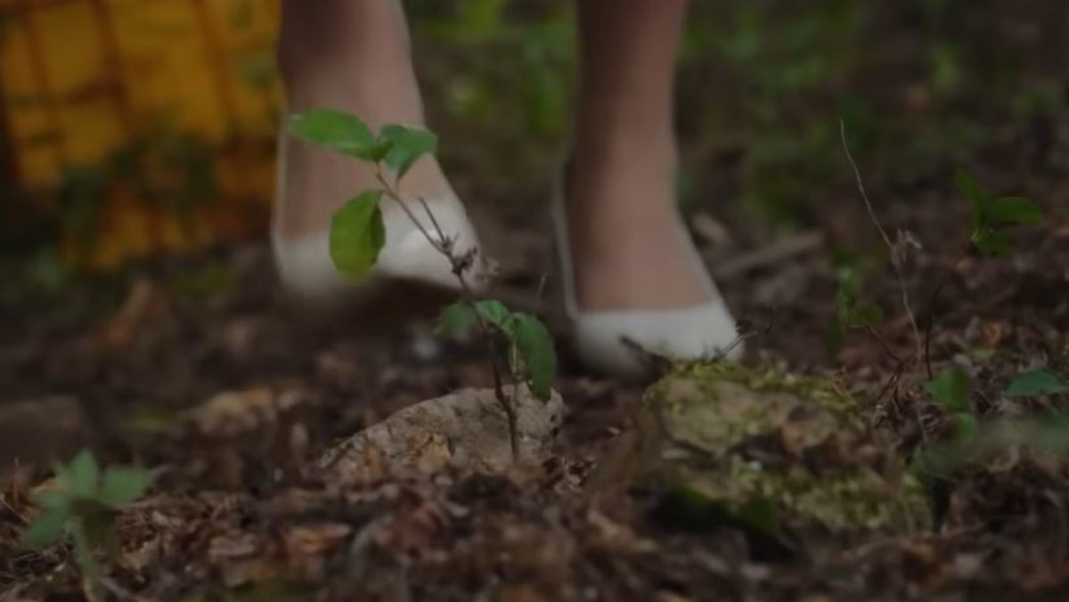 드라마 '다음생은 없으니까' / TV CHOSUN