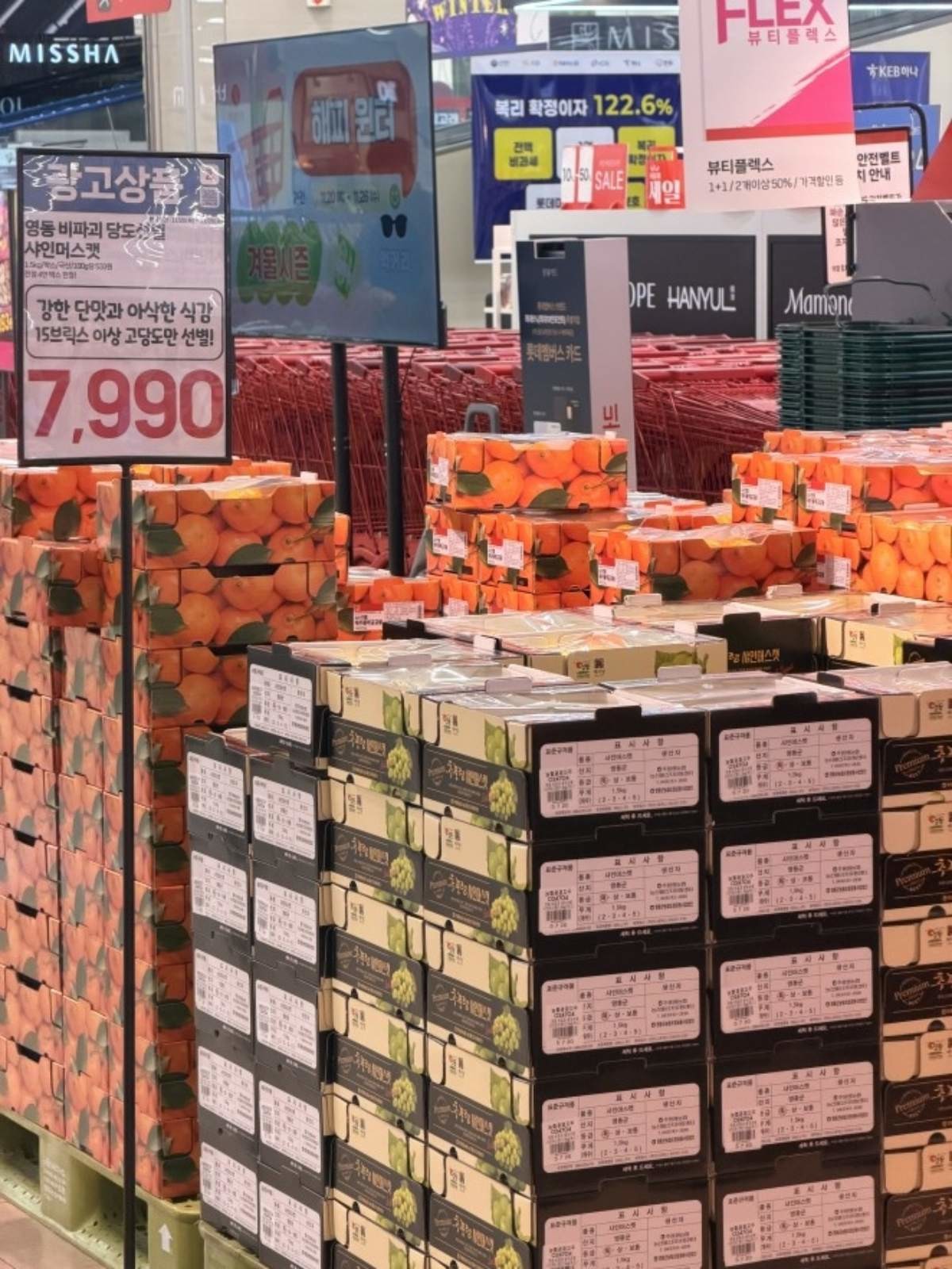 영동 샤인머스캣 할인판매 행사. / 영동군 제공