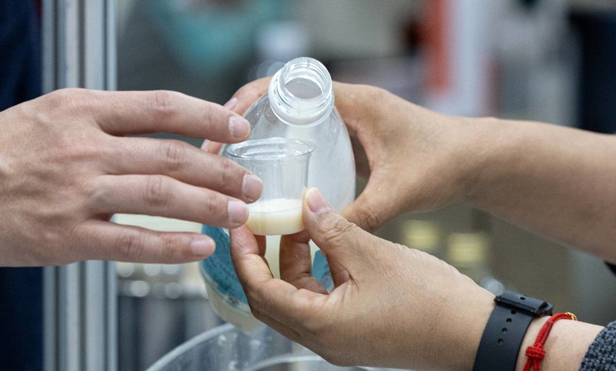 막걸리 자료 사진 / 뉴스1