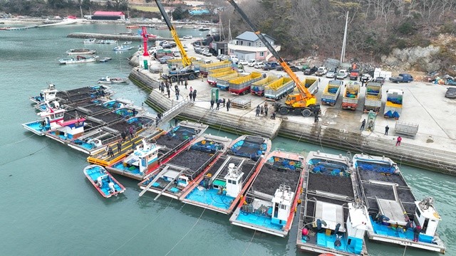 완도군 군외면 당인리의 물김 위판 현장