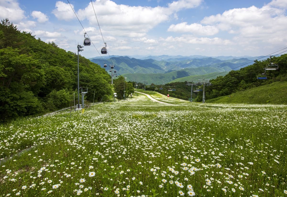 정선 하이원리조트. / Stock for you-shutterstock.com