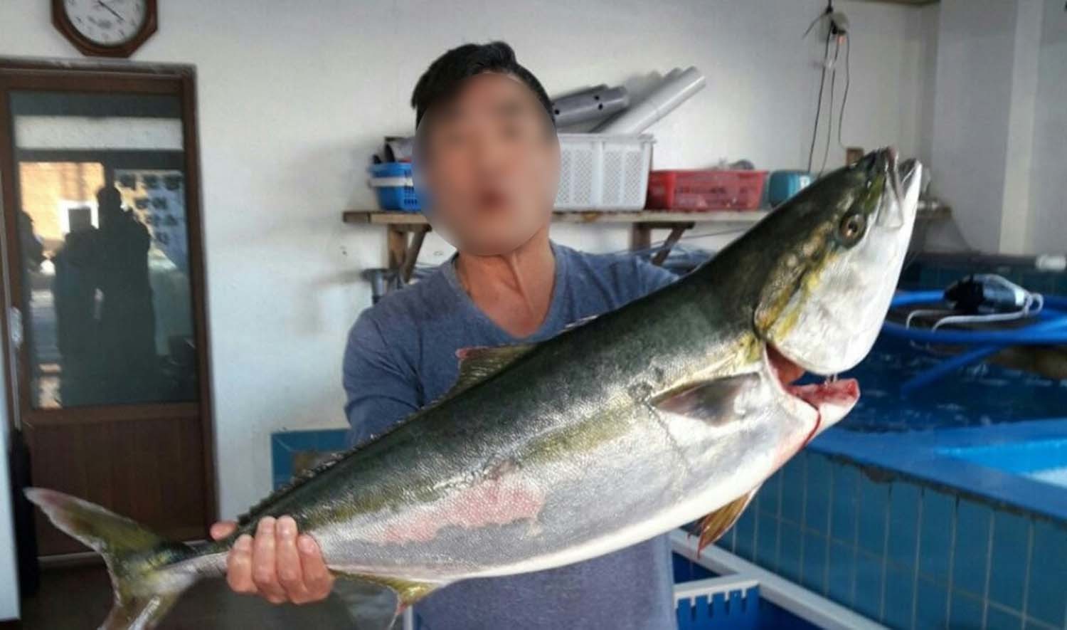 방어 / 연합뉴스