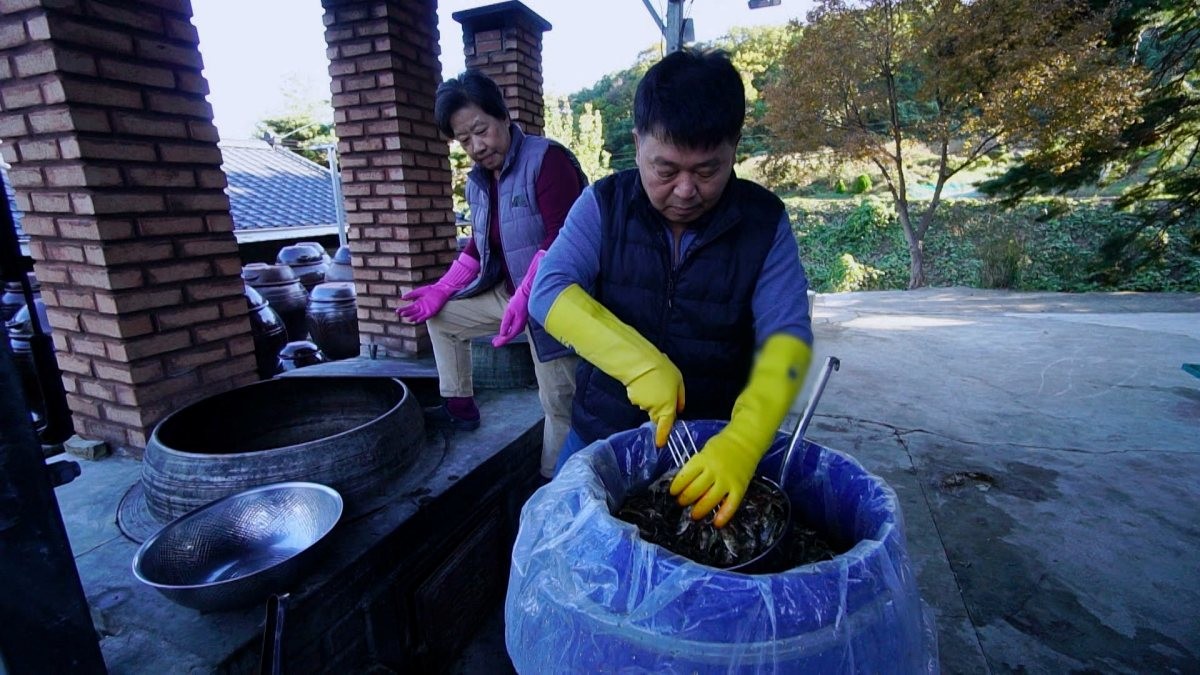 EBS1 '한국기행' 미리보기 페이지에서 제공하는 '삭혀야 제맛, 깻잎김치' 편 자료 사진. / EBS1 제공