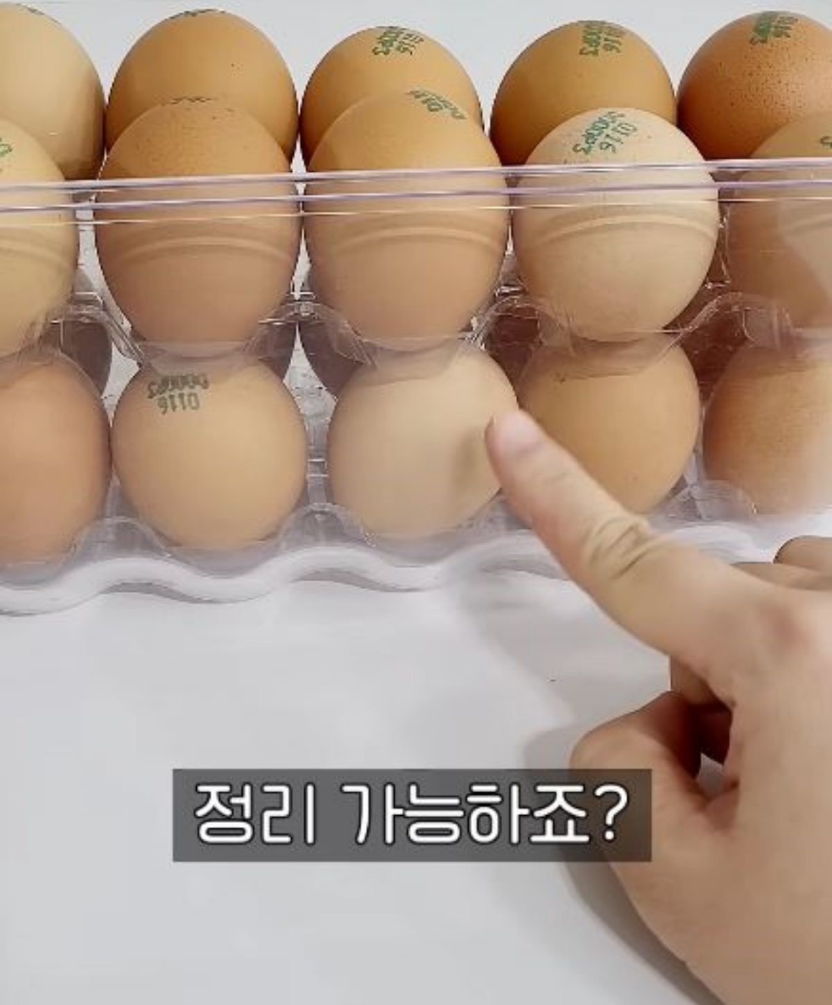 계란판 뚜껑으로 깔끔하게 정리된 계란들. / 유튜브 '봉TV'