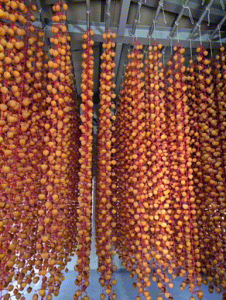 기계적 저온 건조가 아닌 조계산에서 불어오는 맑은 바람을 이용한 자연 건조방식을 고수하는 것이 특징인 순천 꿀 곶감. 순천시 제공 사진을 토대로 직접 제작한 움짤. / 위키트리