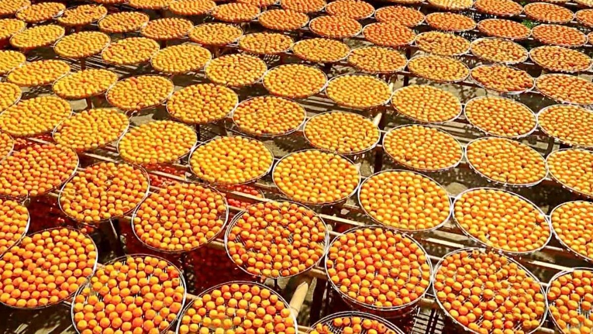 단순 자료사진. 초대형 곶감 공장. / 유튜브 'EBSDocumentary (EBS 다큐)'