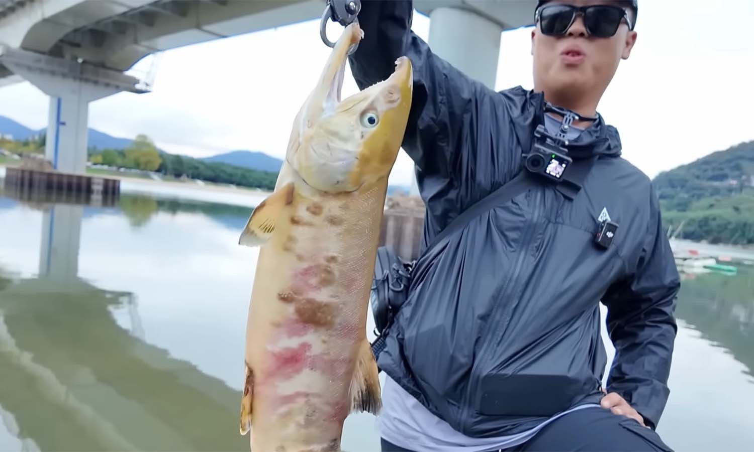 섬진강 연어 / '동네낚시꾼' 유튜브 채널