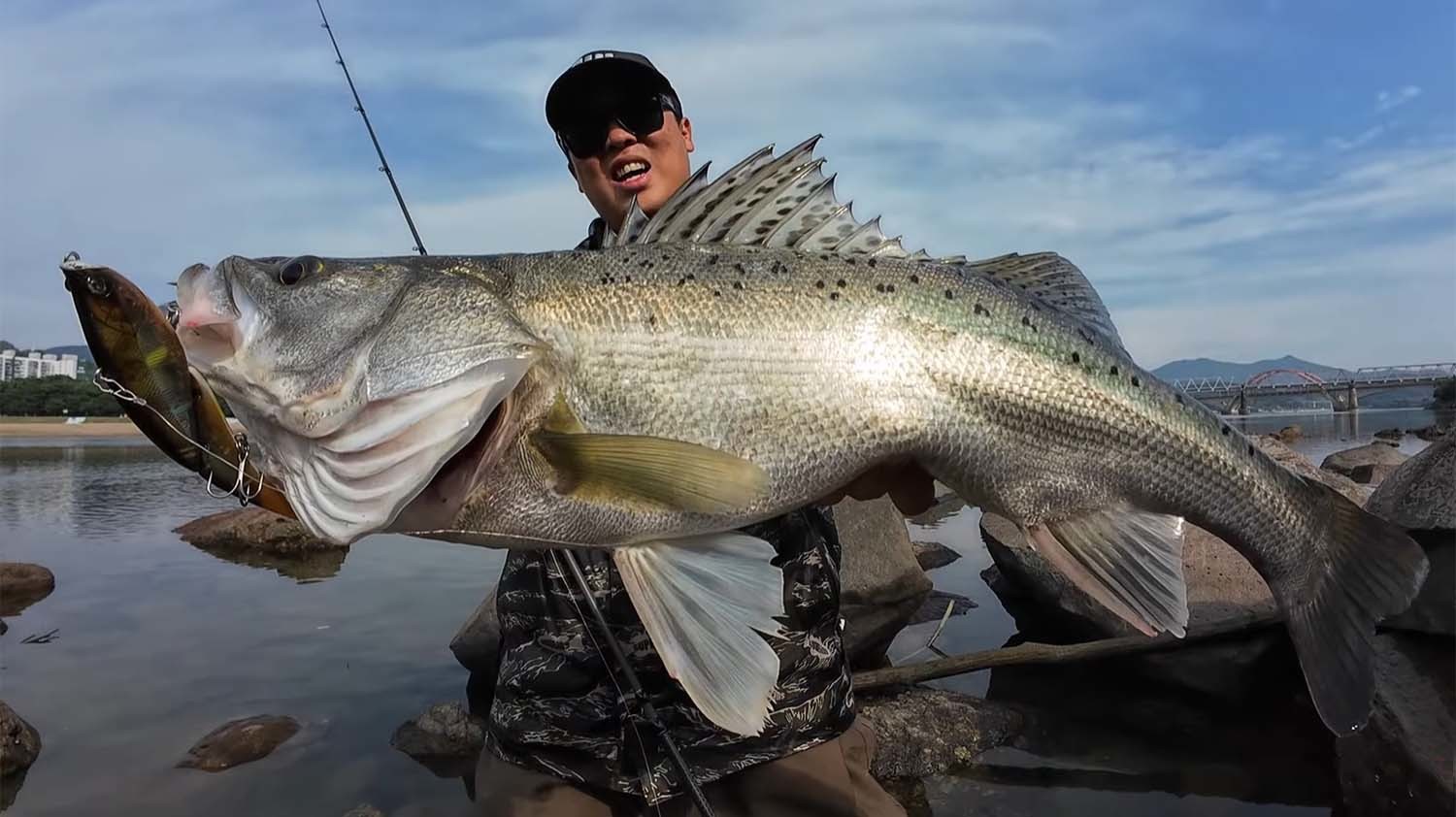 1m에 육박하는 초대형 농어가 섬진강에서 포획됐다. / '동네낚시꾼' 유튜브 채널