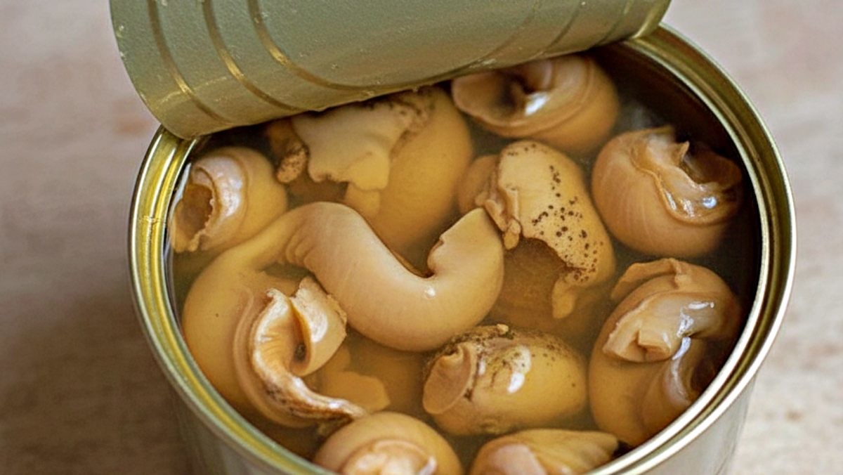 기사 내용을 바탕으로 AI가 생성한 자료사진.