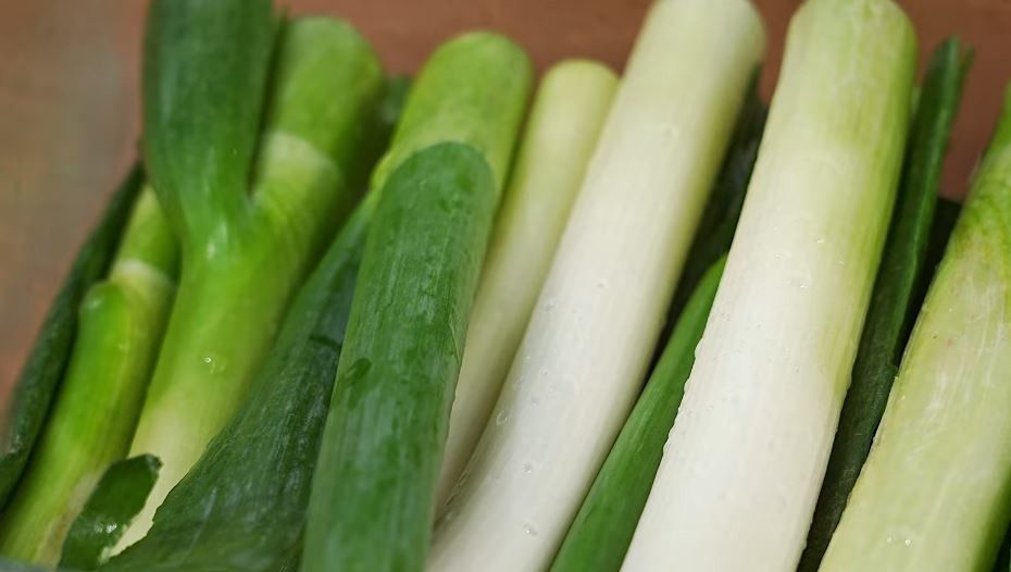 유튜브 '백년밥상TV'