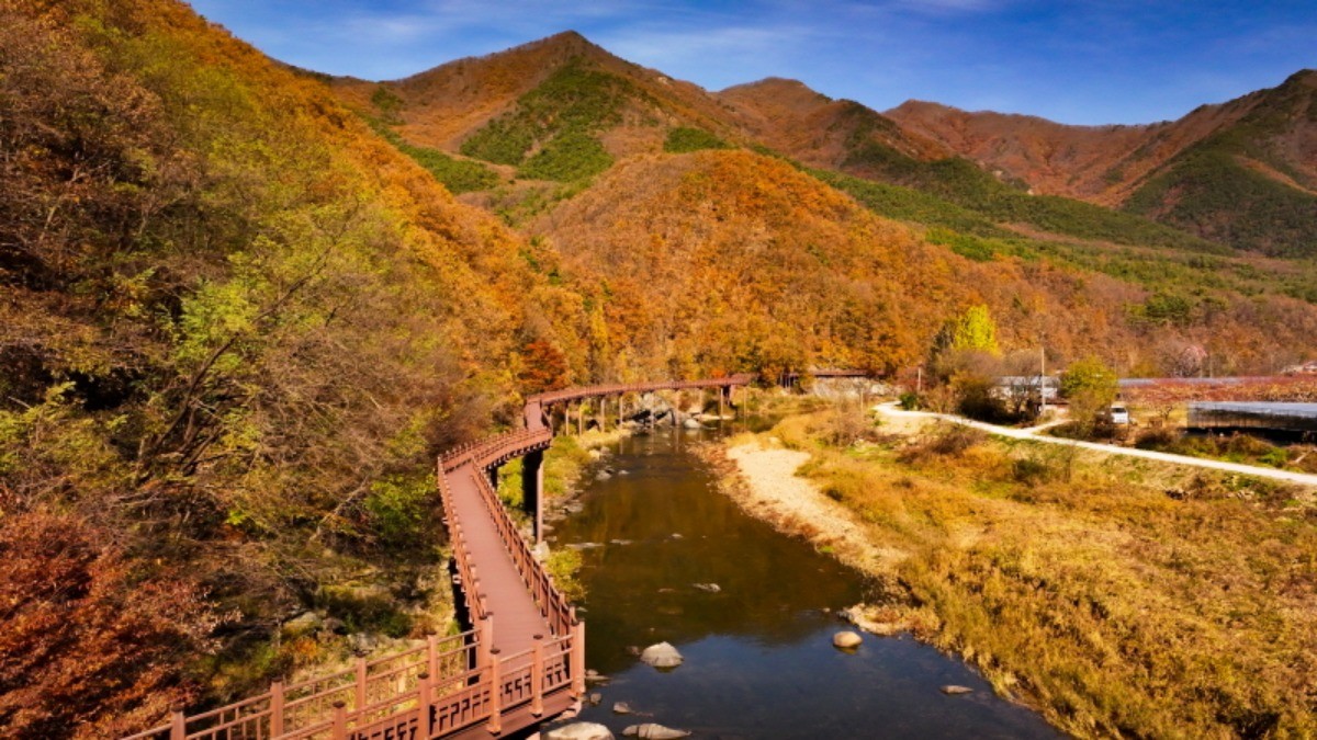월류봉 둘레길 / 영동군 제공