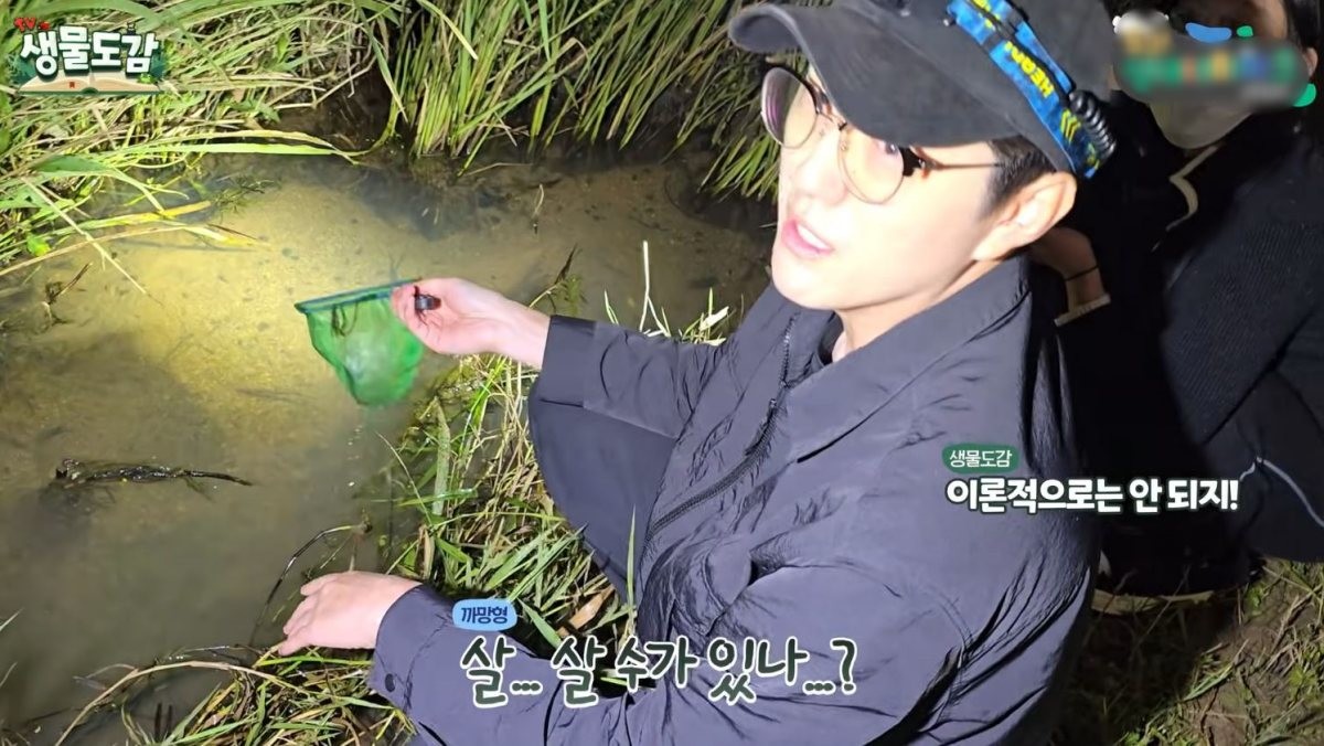 구피가 차가운 온도에서 살아남기 어렵다고 말하는 유튜버 'TV생물도감'의 모습. / 유튜브 'TV생물도감'