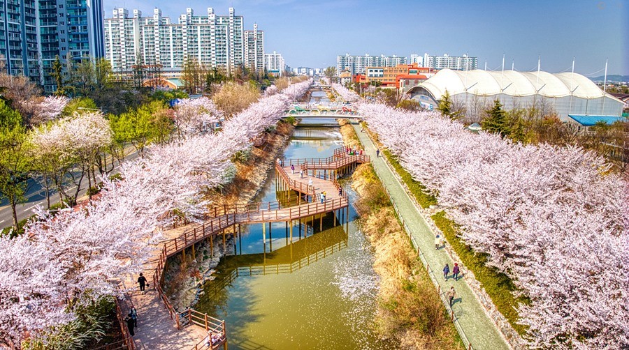 서부간선로의 봄