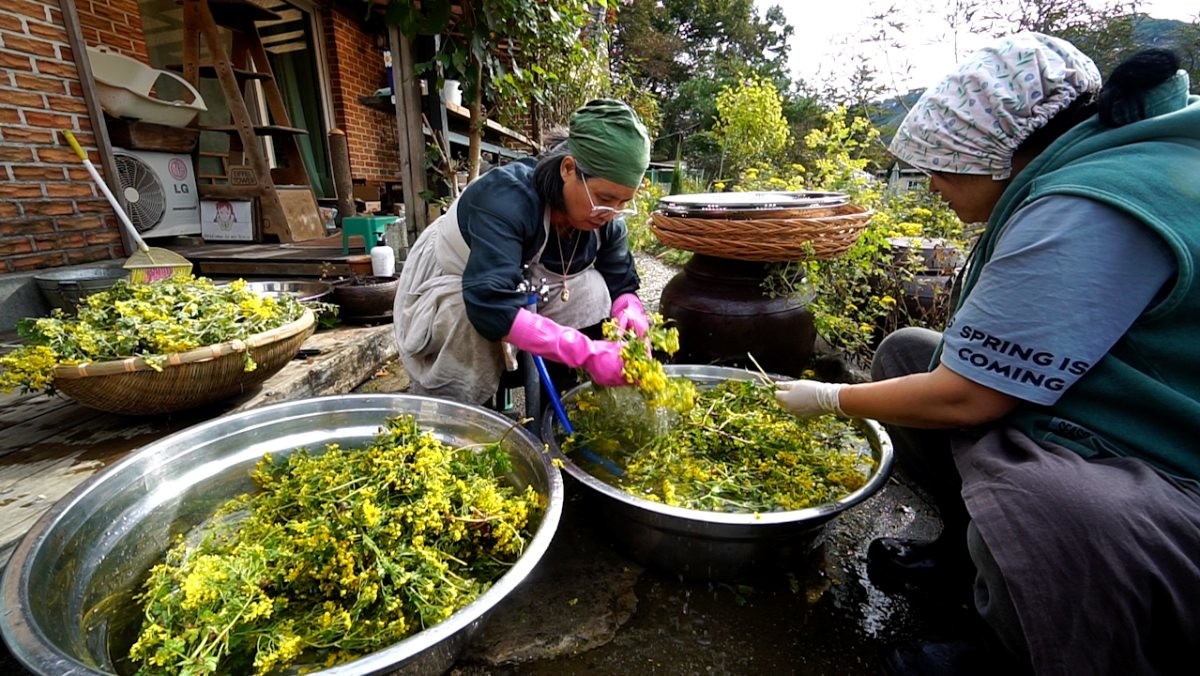 EBS1 '한국기행' 미리보기 페이지에서 제공하는 '자연이 빚은 천연발효식초' 편 자료 사진. / EBS1 제공