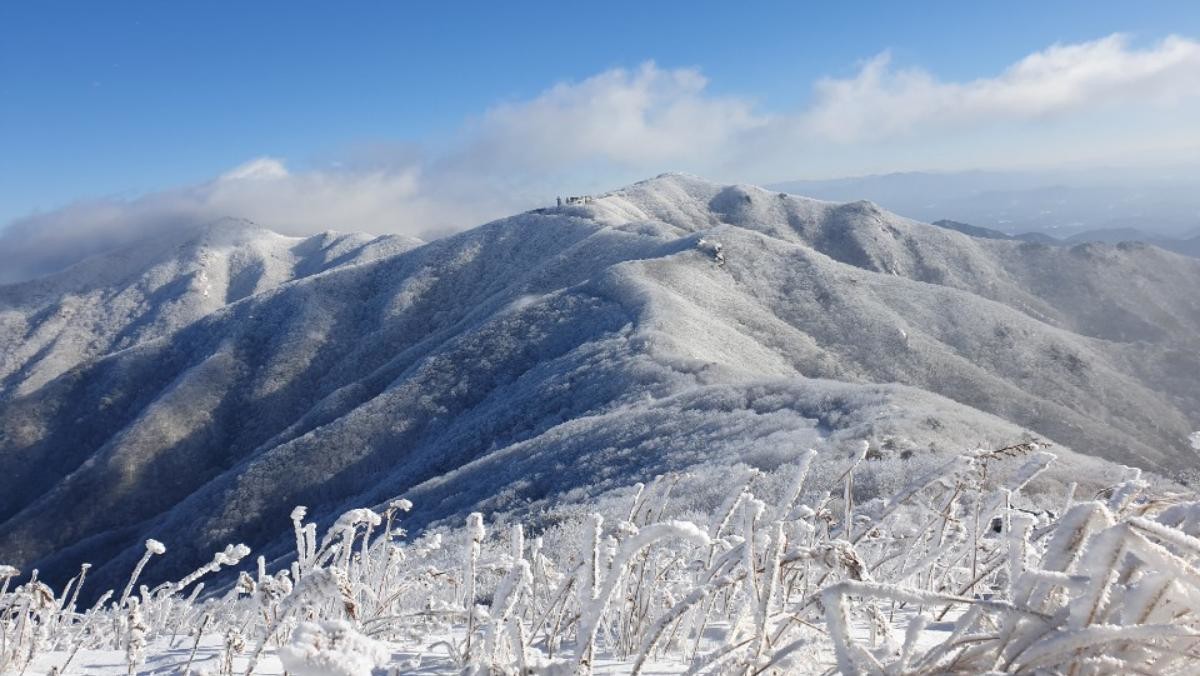 충북 단양군 소백산국립공원. / 뉴스1