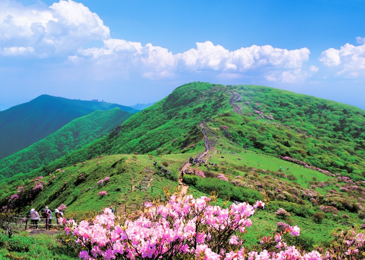 소백산 연화봉. / 뉴스1