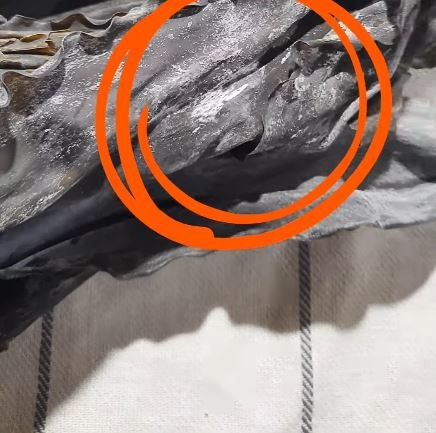 유튜브 '@woljeonfood'