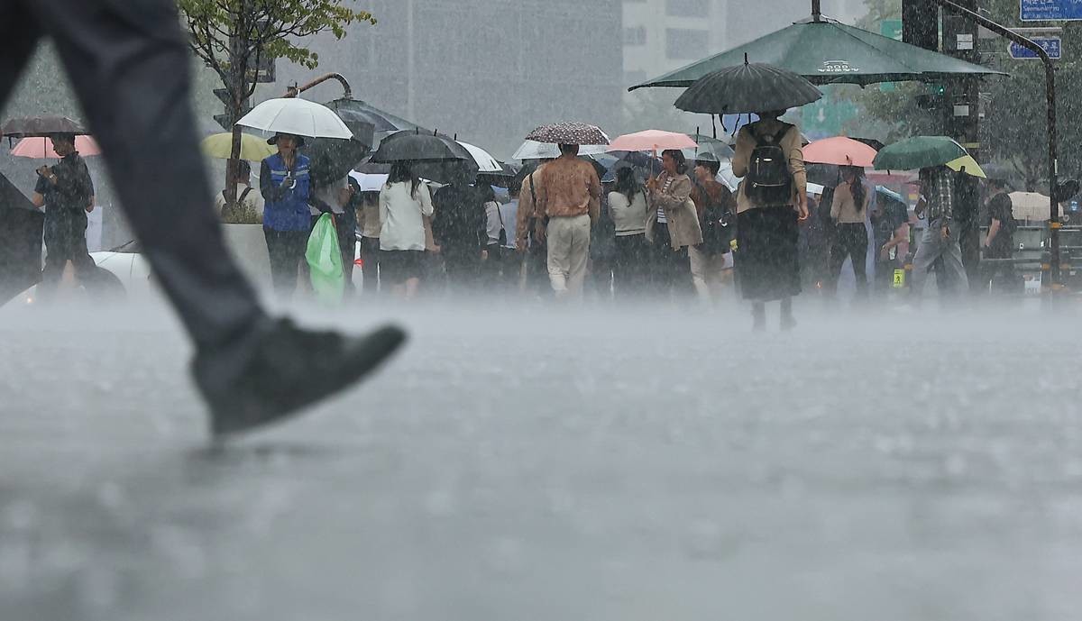 우산을 쓴 시민들이 발걸음을 재촉하고 있다 / 뉴스1