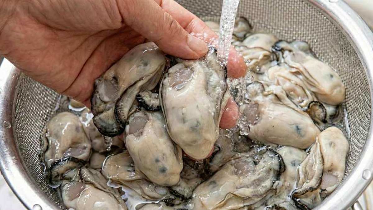 기사 내용을 바탕으로 AI가 생성한 자료사진.