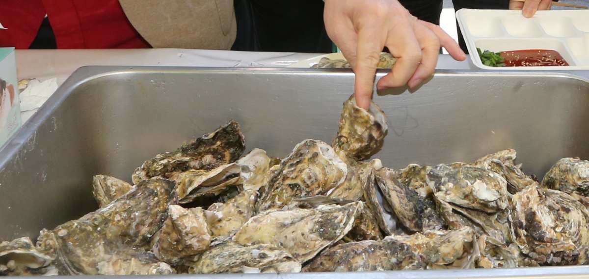 굴 자료사진. / 뉴스1