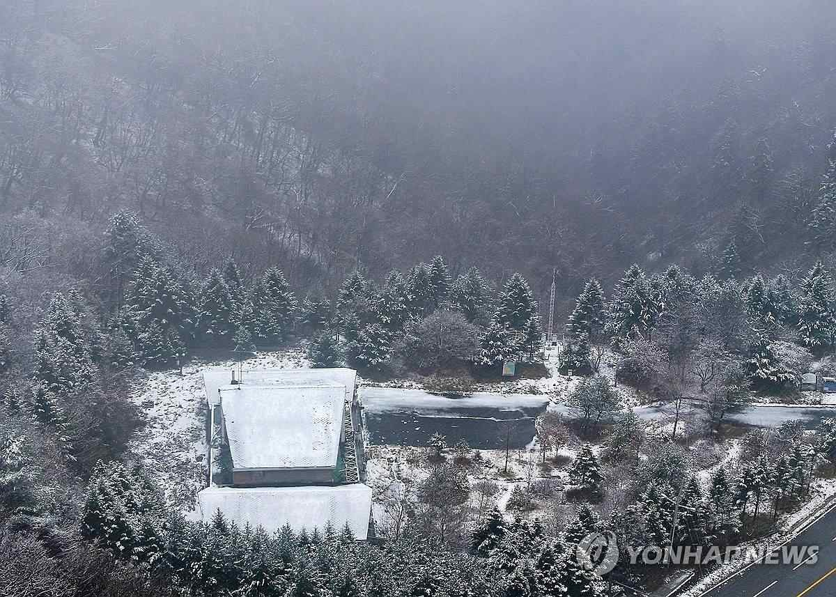 눈 내리는 강원 산지 / 연합뉴스