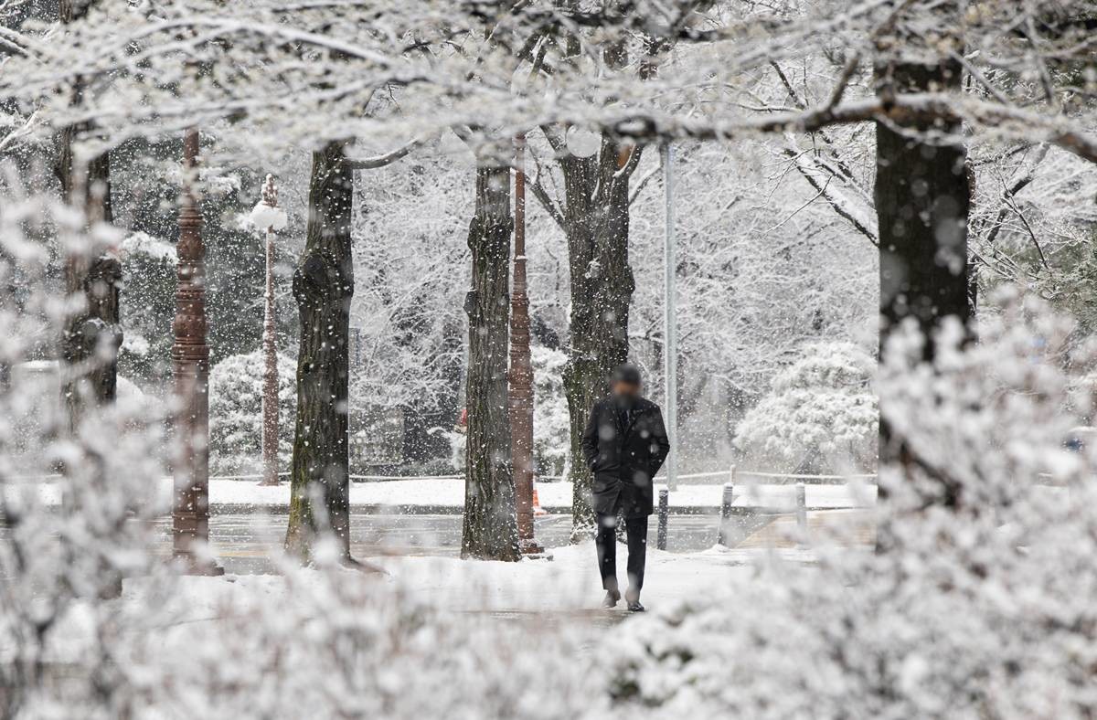 폭설 / 연합뉴스