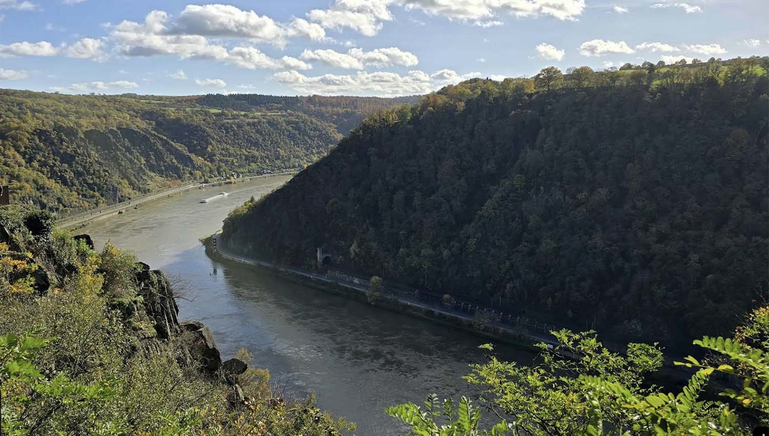로렐라이 풍경 / 구글맵
