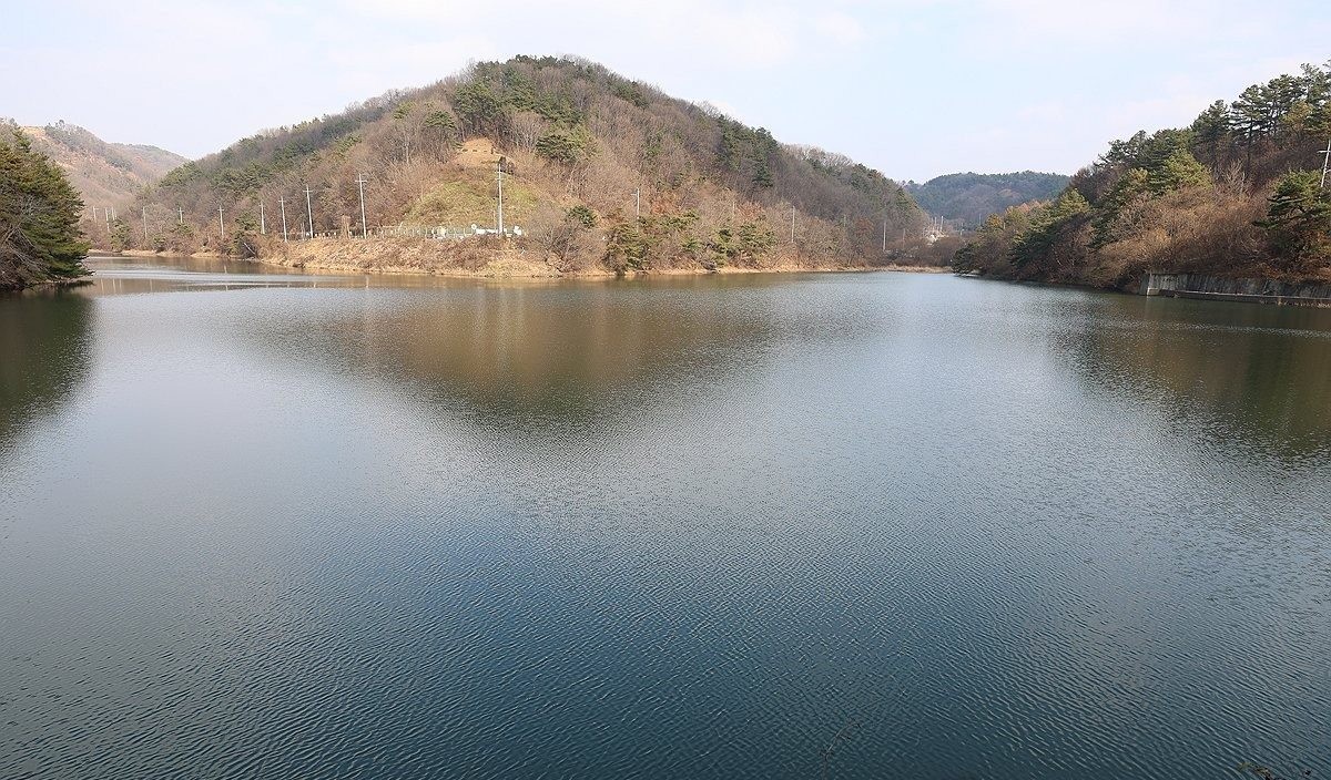 진천 옥성저수지 모습. 기사 이해를 돕기 위한 자료 사진.     청주 50대 실종 여성 A 씨를 살해한 혐의로 긴급체포된 전 연인 50대 김모 씨가 경찰 조사에서 '폭행한 사실은 있으나 살해하진 않았다'라고 진술한 것으로 전해졌다.     실종 여성 A 씨는 지난달 14일 오후 6시 10분쯤 청주 옥산면 소재 회사에서 자신의 SUV를 몰고 퇴근한 뒤 45일째 행방이 묘연한 상황이다.         / 연합뉴스