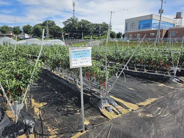 자동 관수관비 / 임실군