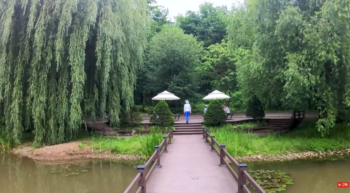 부천 자연생태공원. / 유튜브 '놀부세상' 영상 캡쳐