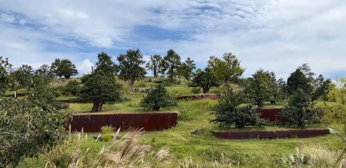 대구 사유원. / 유튜브 '디어글라라' 영상 캡쳐