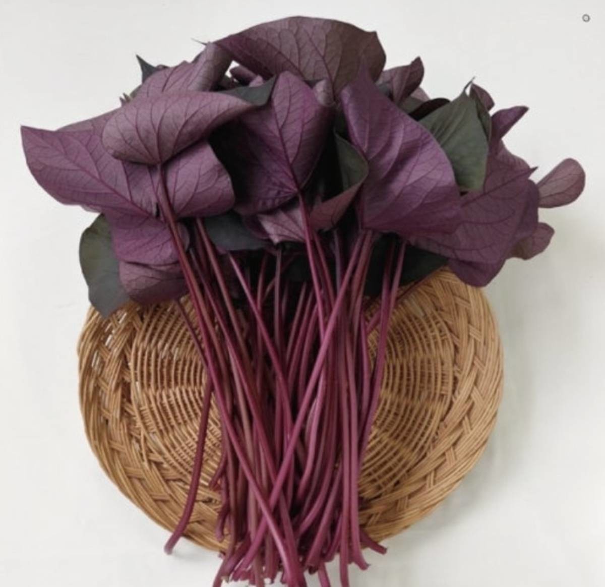 신품종 '통채루' 고구마 / 청주시 제공, 연합뉴스