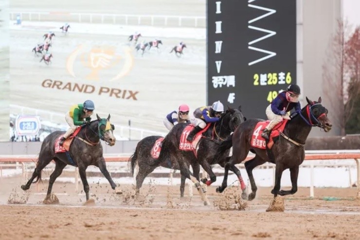 한국경마의 절대왕을 가리는 제43회 그랑프리(G1, 2300m, 혼OPEN)가 오는 11월 30일, 렛츠런파크 서울 제8경주에서 장엄한 막을 올린다. / 사진제공=마사회