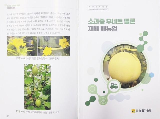 무네트 멜론 재배 매뉴얼