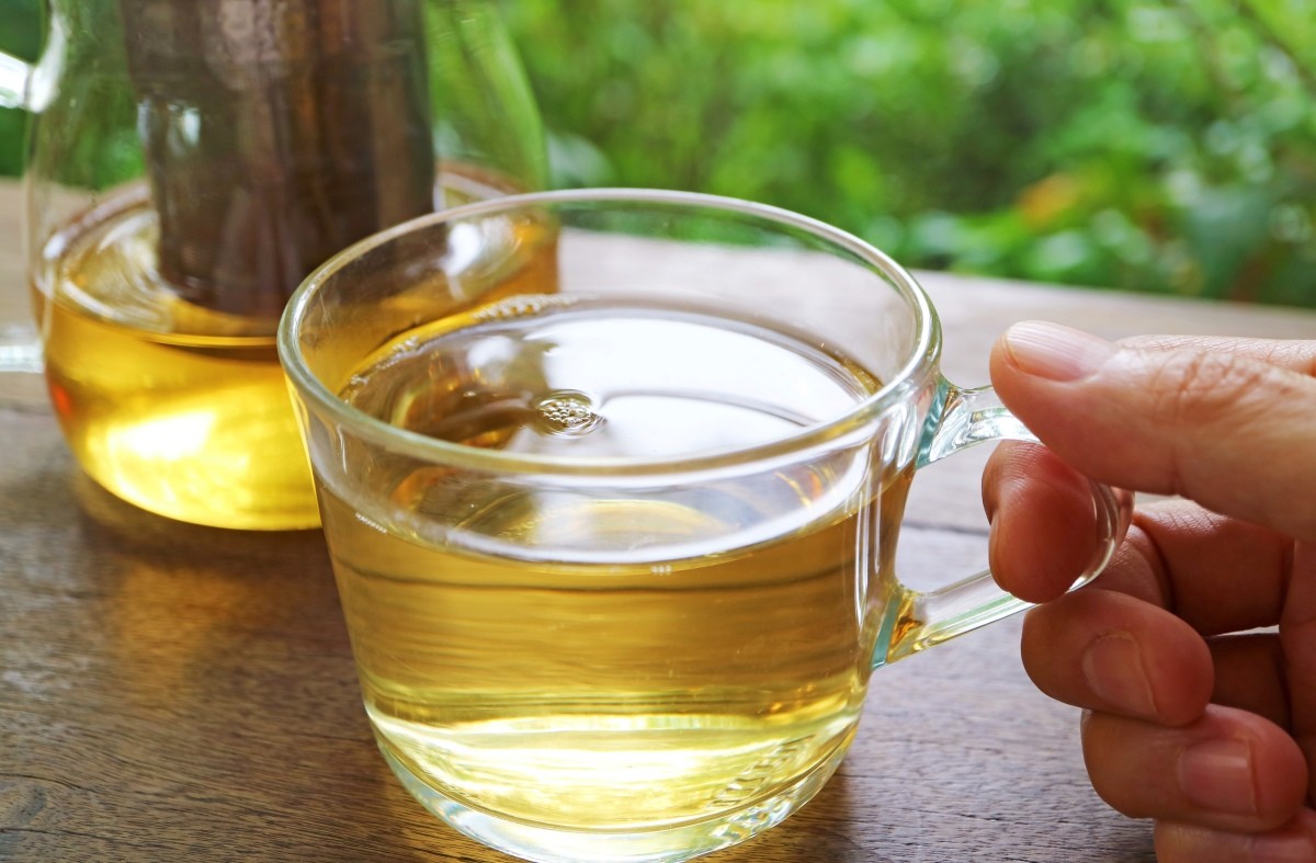 내용 이해를 돕기 위한 사진. / lovelypeace-shutterstock.com