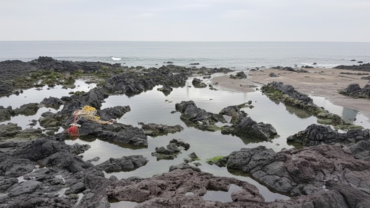 기사 속 남방큰돌고래가 발견된 장소. AI가 재생성한 이미지. (기사 속 실제 장소와 차이가 있을 수 있음을 알립니다.)