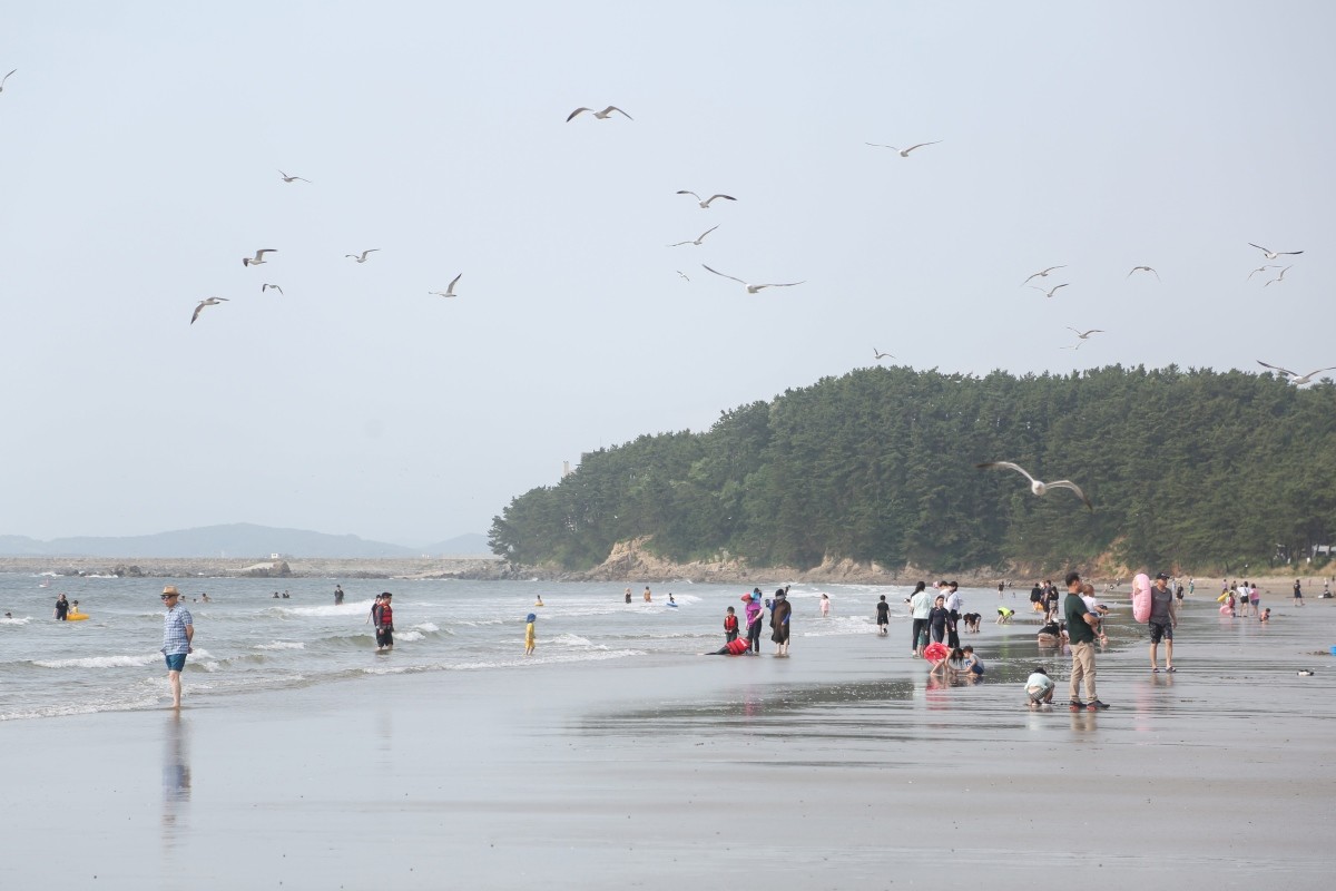 춘장대해수욕장 / 서천군