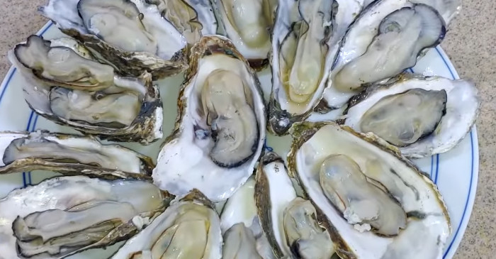 유튜브 '지니이모'