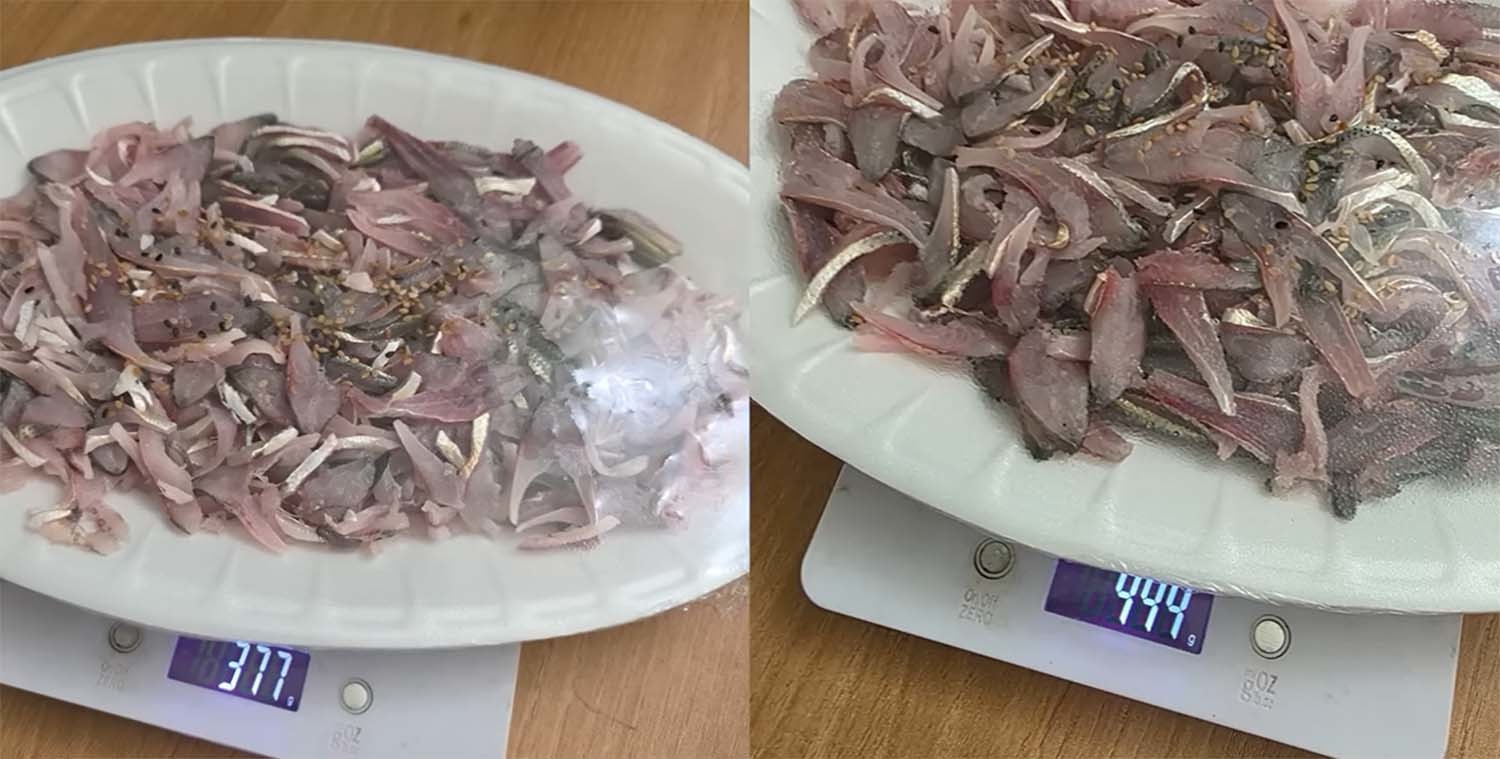 전어의 수율도 40%에 불과했다. '입질의추억TV' 유튜브 채널