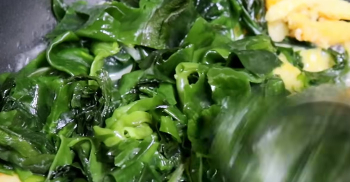 유튜브 '양장금주부'