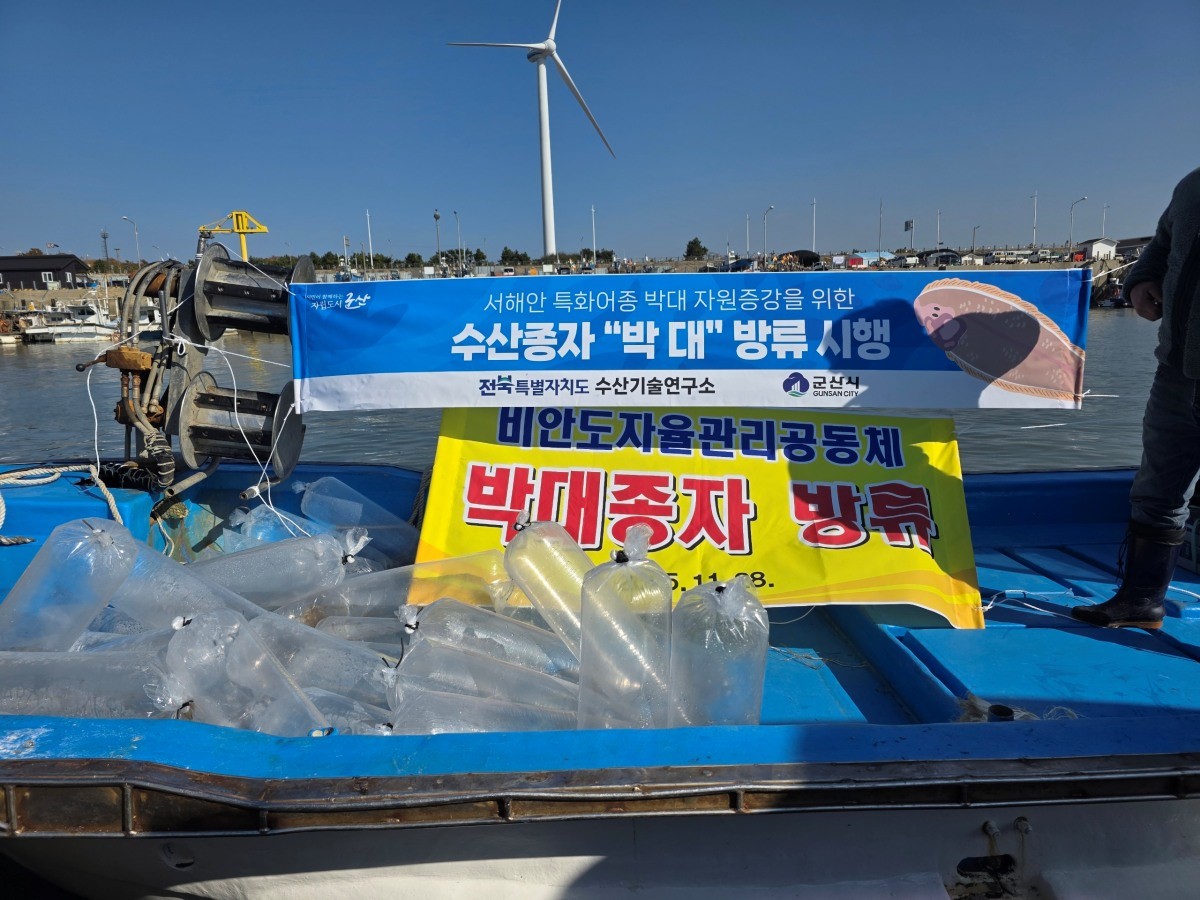 전북도 수산기술연구소가 28일 어린 박대 10만 마리를 무상 방류했다. / 전북도 제공