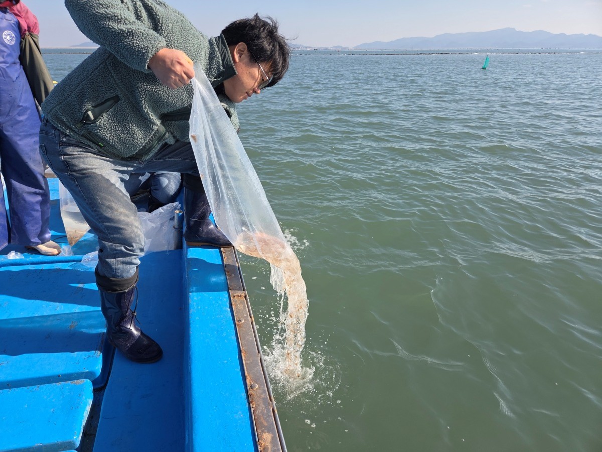 전북도 수산기술연구소의 방류 현장 사진. / 전북도 제공