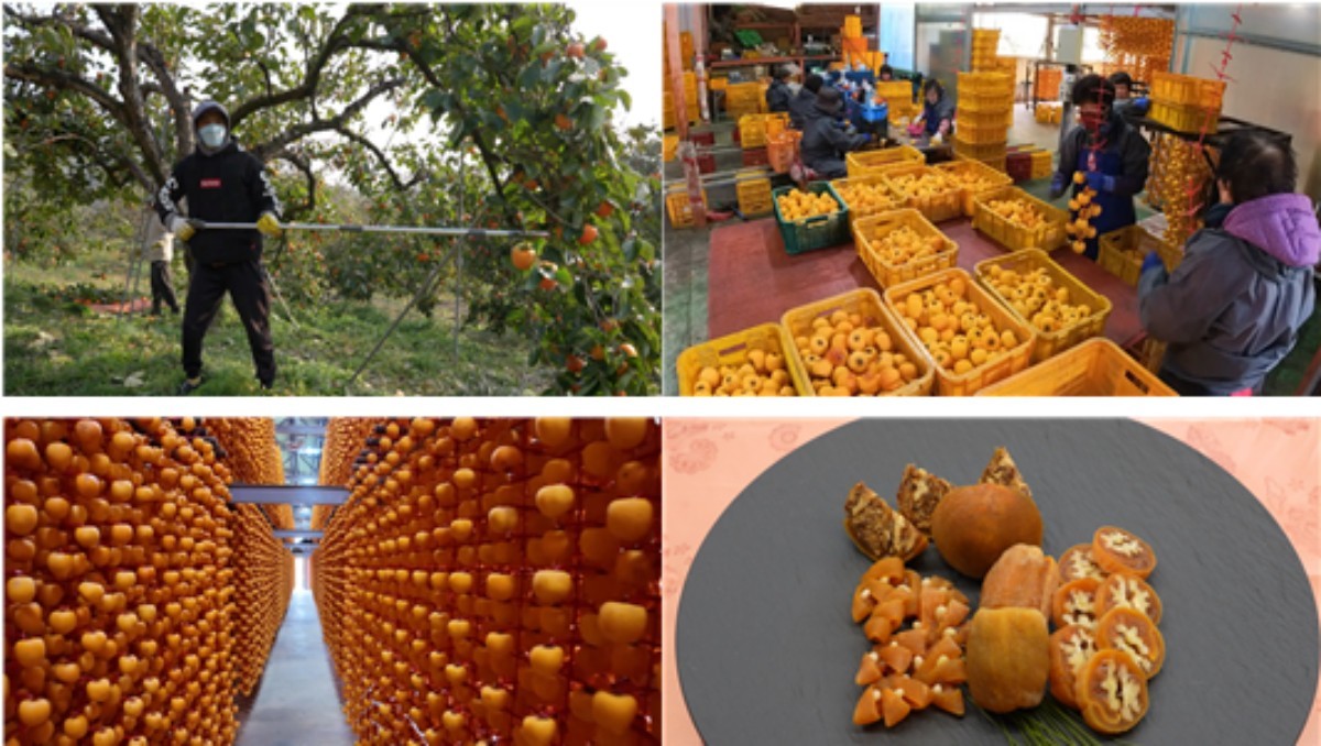 EBS1 '극한직업' 미리보기 페이지에서 제공하는 '곶감과 양말' 편 자료 사진. / EBS 제공