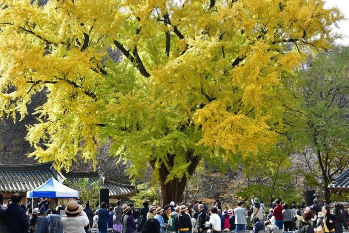 기사의 이해를 돕기 위한 사진 / 뉴스1