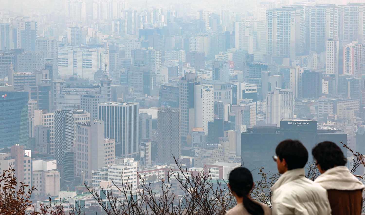 11월 24일 서울 용산구 남산에서 바라본 서울시내 아파트 단지 모습. / 뉴스1
